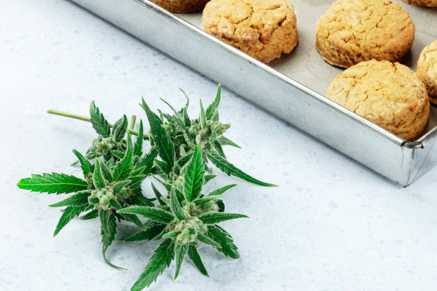 An Introduction to Cooking with Cannabis